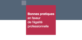 Bonnes pratiques en faveur de l'égalité professionnelle