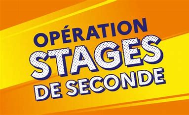 Stage de Seconde !
