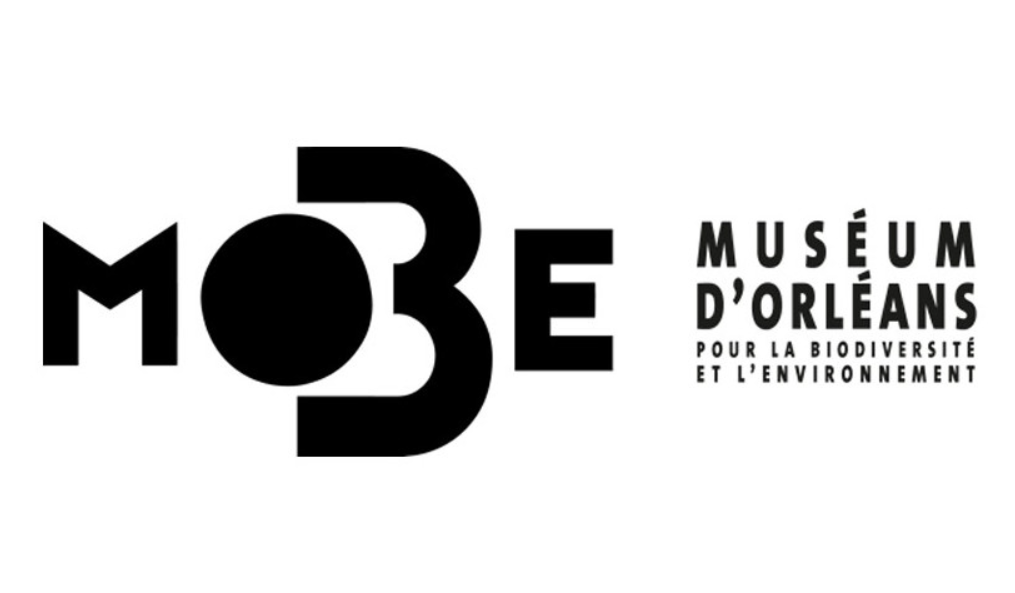 Numeum Tour Centre – Val de Loire et Forum régional IA
